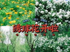 -上海滨江森林公园