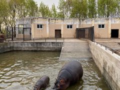 -合肥野生动物园