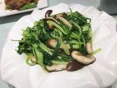 -冶春茶社(星汉大厦店)