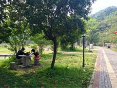 iphone_upload_pic-红山村