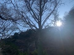 -狼山风景名胜区