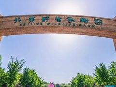 -北京野生动物园