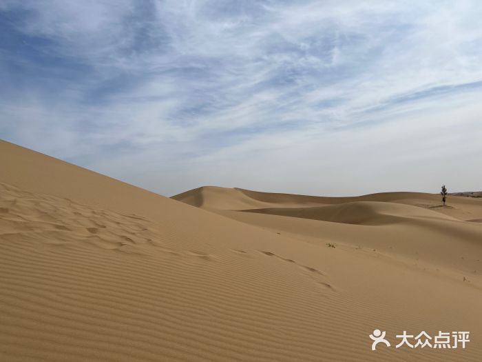 亿利库布其七星湖沙漠生态旅游区图片