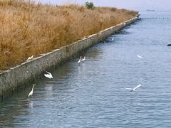 -碧桂园十里银滩