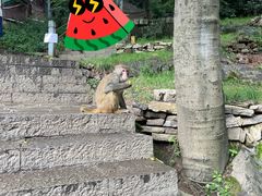 -黔灵山公园
