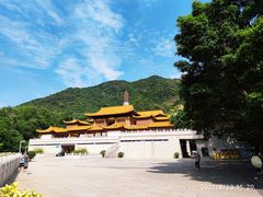 -深圳仙湖植物园