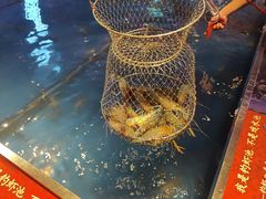 -钳真多钓虾馆·小龙虾海鲜烧烤(九六广场店)
