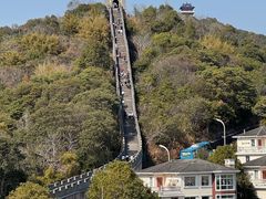 -黄贤森林公园