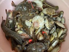 -晓伟海鲜家常菜