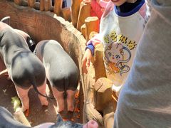 -长鹿旅游休博园