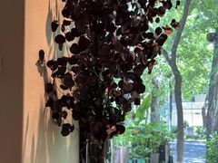 -BOCATA 西班牙餐厅(三里屯店)