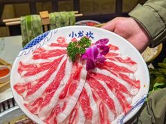 -小龙坎火锅(全球旗舰店)