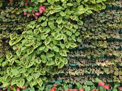 -石家庄市植物园
