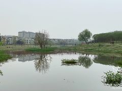 -两河城市森林公园