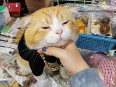 -吴山路夜市