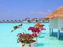 -中央格兰德岛温泉度假酒店 - 全包