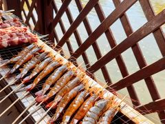 -尚庄度假村·庭台树下·户外烧烤·团建CS·轰趴营地(上庄水库店)