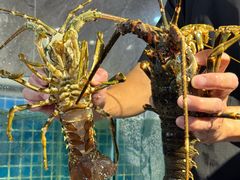 -阳江餐厅·30年老字号·粤菜海鲜大排档