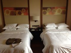 iphone_upload_pic-长白山万达喜来登度假酒店