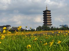 -长春北湖公园