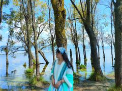 -洱海月湿地公园