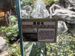 -Zoolung Zoolung动物主题公园(海信广场店)