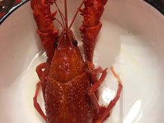 -虾弄弄海派小龙虾·牛羊蝎子火锅