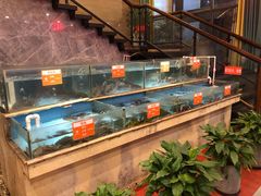 水产区-饭怕鱼(阳光100店)