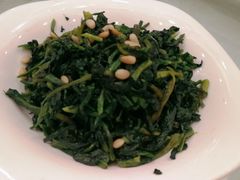 鑫鑫の松仁万年青-金八仙酒店