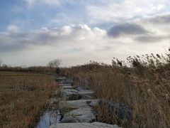 -绿堤公园