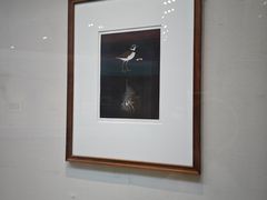 -中国版画博物馆