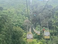 -黔灵山公园