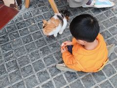 -猫岛主趣味餐厅(鼓浪屿店)