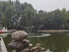 -新川办餐厅