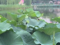 -西海子公园