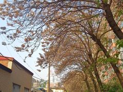 -长椿街(地铁站)