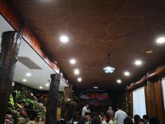 -绿光森林餐厅