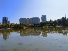 -群力丁香公园