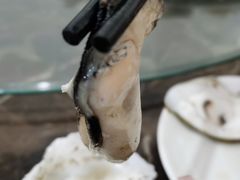 -蚝专家(北滘店)