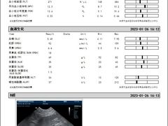 -爱侣宠医·鹦鹉专科·小型哺乳类·异宠专科(灵石路店)