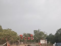 -上海都市菜园