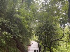 -青城山