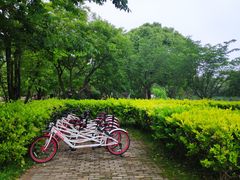 -鹅湖玫瑰文化园