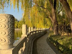 -迎泽公园