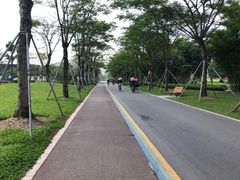 -顺峰山公园