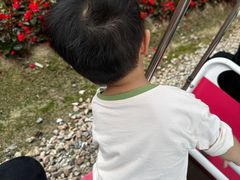 -广东花都香草世界旅游度假区