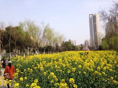 圩墩公园-圩墩遗址公园