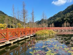 -广州市石门国家森林公园