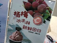 -野人先生现做冰淇淋(西安赛格店)