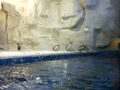 -华夏文旅西安度假区